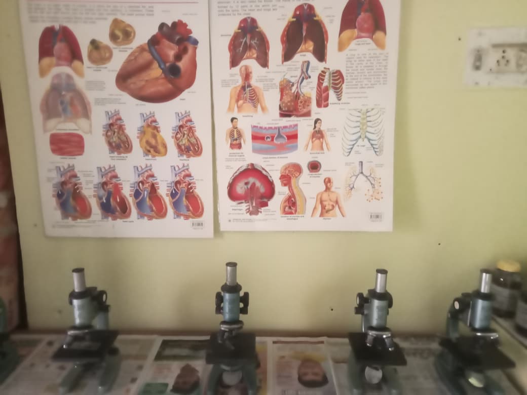 Science Activities